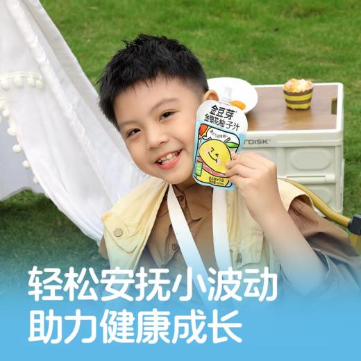 金豆芽金银花柚子*13袋/整箱装 商品图2