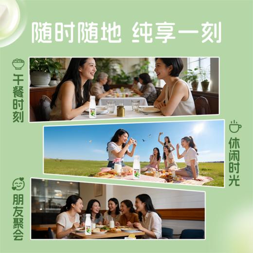 君乐宝300g纯享风味发酵乳（苹果味)酸奶 商品图5