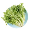 【SF】苦菊 凉拌佳品 商品缩略图1