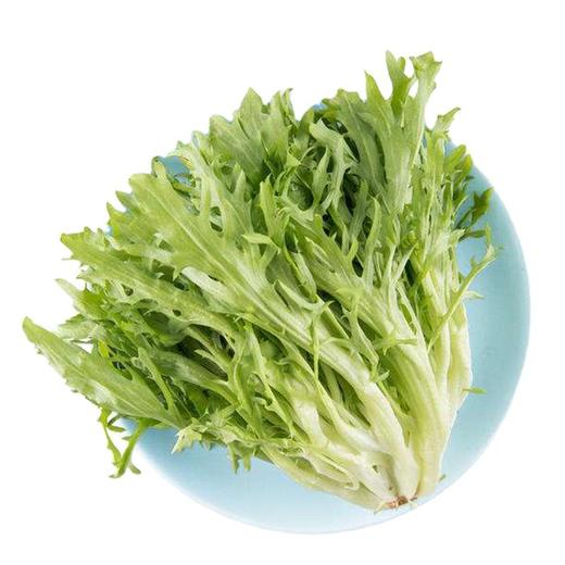 【SF】苦菊 凉拌佳品 商品图1