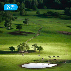夏季乌兰布统｜32公里坝上轻徒步 六大玩法深入草原 超小众避暑 6日