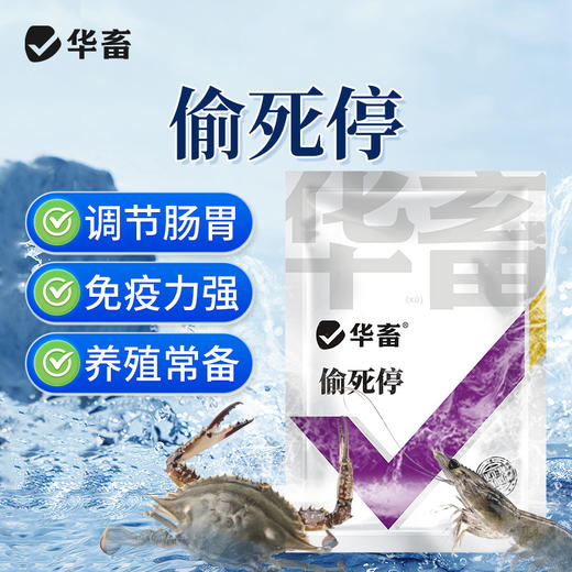 华畜 偷死停 调节肠胃 免疫力强 养殖常备 商品图0