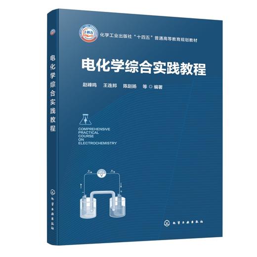 电化学综合实践教程 商品图0