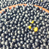 特地找的『洪湖老品种土黑豆』黑皮黄芯，清甜回甘，豆香四溢，熟后绵密沙软，不苦涩无豆腥，原生态无添加，不抛光打蜡染色 商品缩略图4