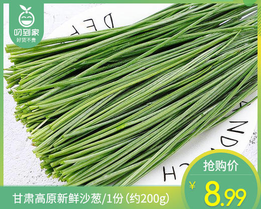 【叼鲜蔬】甘肃高原新鲜沙葱/1份（约200g） 商品图0