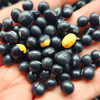 特地找的『洪湖老品种土黑豆』黑皮黄芯，清甜回甘，豆香四溢，熟后绵密沙软，不苦涩无豆腥，原生态无添加，不抛光打蜡染色 商品缩略图1