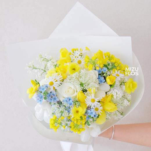 / 晴 光 岛 屿 /（今日现花） 商品图0