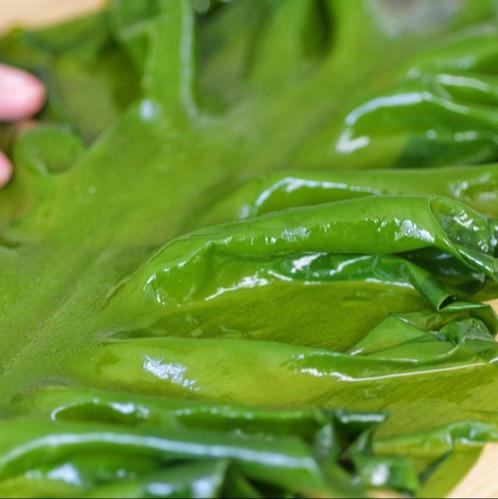 【双有机海带嫩芽】出口17国的同工厂同生产线，简单清洗即可食用👍冷水半小时泡发 商品图2