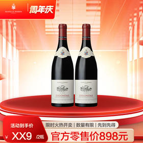 【佩兰超级品牌日】佩兰家族拉吉尔吉恭达斯 2019*2瓶