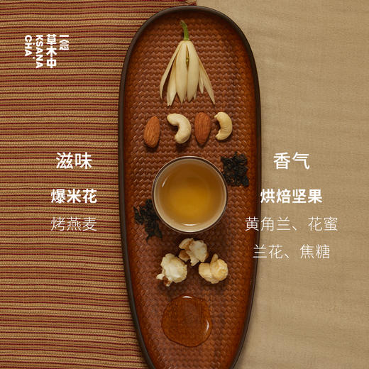 水月自在·传统铁观音 | 私房清饮系列 | 50g原叶 | 乌龙茶类 商品图2