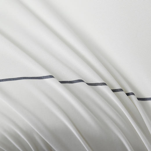 【秒杀】GRACE SPACE格调空间零压记忆枕  买一送一 商品图4