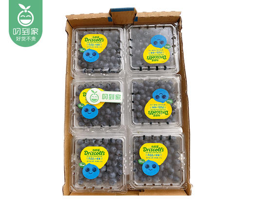 云南怡颗莓小蓝莓（12+）/1箱（125g*12盒） 商品图5