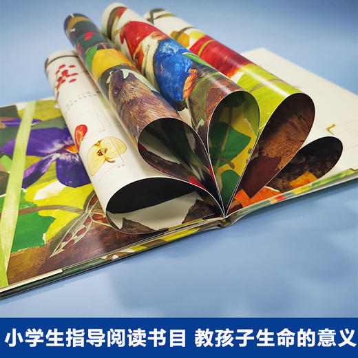 一粒种子的旅行 商品图2