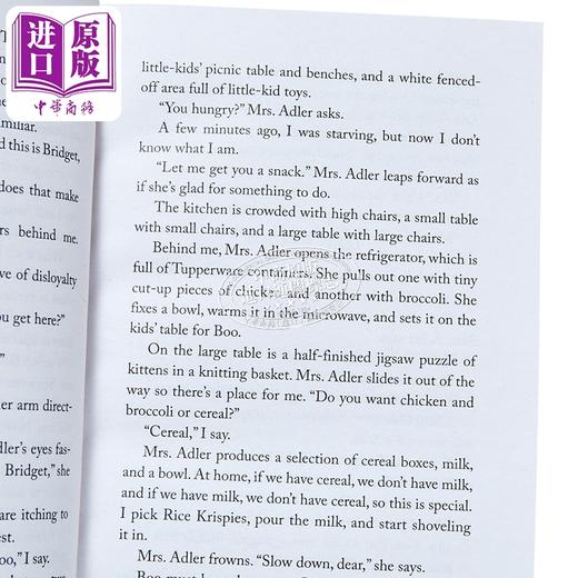 预售 【中商原版】汉克 胡珀曼的第十个错误 The Tenth Mistake of Hank Hooperman	英文原版 Gennifer Choldenko 商品图2