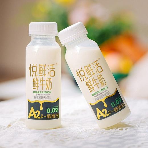 君乐宝260mlA2悦鲜活鲜牛奶 商品图3