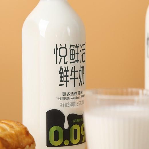 君乐宝950ml悦鲜活牛奶 商品图10