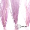 永生花材 | 针茅浅紫色 商品缩略图1