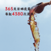 【上新】香畴 二次发酵酱油  自然农法种植黄豆 古法酿造   自然发酵365天  二级酱油1.9L   酱香柔和  本味鲜香 商品缩略图5