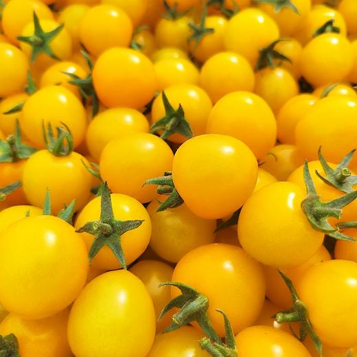 新疆吐鲁番 爆汁樱桃小番茄 酸甜爆汁 商品图9