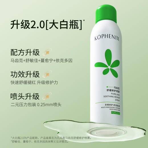 纪念日百货孔凤春马齿苋舒缓喷雾300ml补水喷雾160948301 商品图1