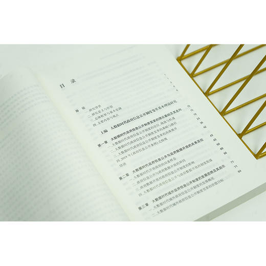 大数据时代政府信息公开制度变革研究 孟鸿志等著 法律出版社 商品图2