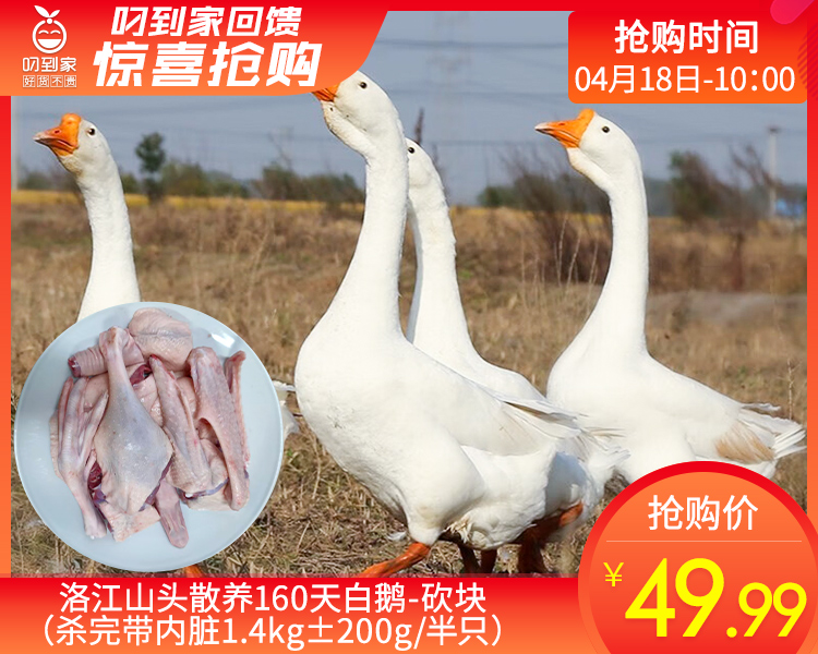 洛江山头散养160天白鹅-砍块（杀完带内脏1.4kg±200g/半只）