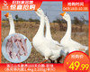 洛江山头散养160天白鹅-砍块（杀完带内脏1.4kg±200g/半只） 商品缩略图0