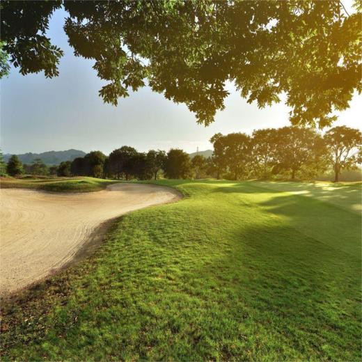 拉雅峰高尔夫度假村 Gunung Raya Golf Resort I  兰卡威高尔夫球场 I 马来西亚高尔夫球场俱乐部  I 东南亚 商品图2
