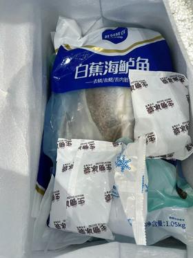 2包【鲜到鲜得白蕉海鲈鱼1050g】
