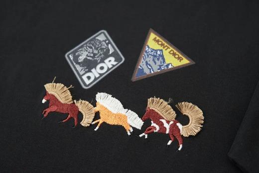 DIO家早春马年限定款logo刺绣短袖T恤 商品图2