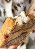 🍞梦仲瑶九珍吐司  ✅添加九种坚果谷物果干，添加量≥35%，营养均衡 ✅慢发酵工艺，汤种锁鲜 ✅门店工艺，开酥三次叠压法，坚果层次分明  商品缩略图1
