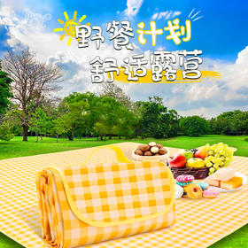 【速抢❗️9.9秒杀🔥小提包野餐垫】出游常备，亲肤柔软，可折叠收纳！野外露营户外野炊垫防水加厚手提式户外防潮垫春游沙滩垫L