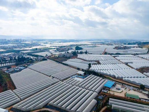 大美云南，风水宝地！仙湖滋养的仙湖恬蓝莓，生长在海拔2150米的【仙湖恬】比雪山恬还高1000米，第一批即将到京 商品图2