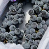 石家庄优选仓库速达，蓝莓葡萄，脆甜多汁，果肉紧实，皮薄无核，净重2.5斤礼盒 商品缩略图6