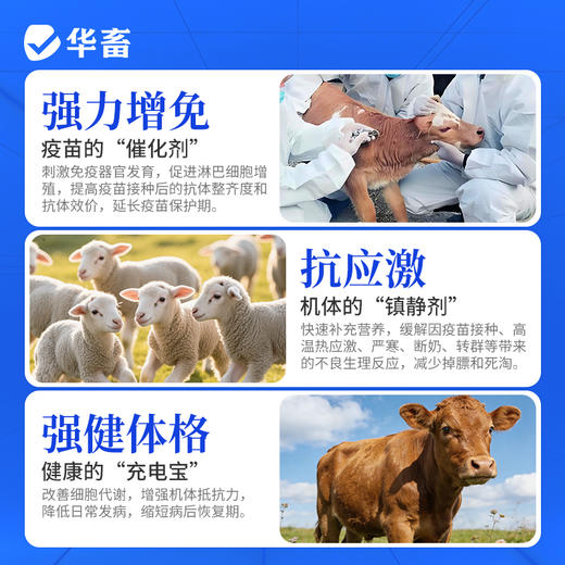 华畜免疫抗体 提升疫苗效价 缓解接种应激 双效抗氧化 商品图4