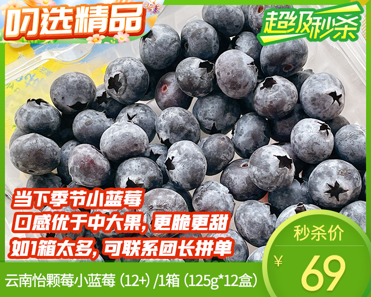 云南怡颗莓小蓝莓（12+）/1箱（125g*12盒）