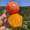 秭归精品双色橙（中华红橙+伦晚）双拼组合，限量500单，天气热，橙子成熟度高，收到后冰箱保存！ 商品缩略图0