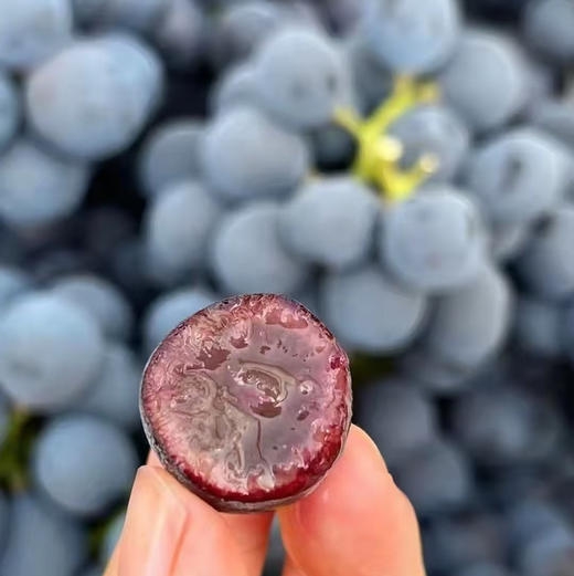 石家庄优选仓库速达，蓝莓葡萄，脆甜多汁，果肉紧实，皮薄无核，净重2.5斤礼盒 商品图5