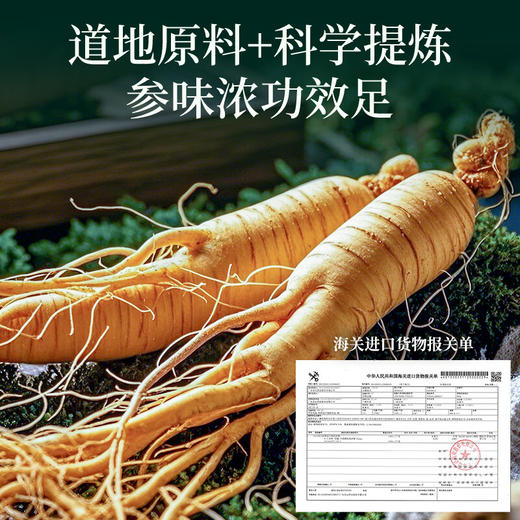 福东海 花旗参西洋参茶120克 中高考前必备人参皂苷抗疲劳增强免疫力 商品图3