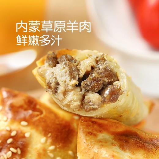 麦德龙 麦臻选 羊肉烤包子 600g（50g*12） 商品图2