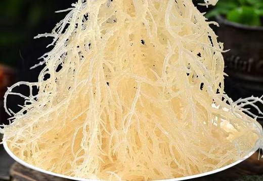 【MLT】龙须菜 商品图0