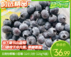 【到手6盒】云南怡颗莓小蓝莓（12+）/1份（125g*6盒） 商品缩略图0