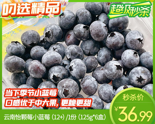 【到手6盒】云南怡颗莓小蓝莓（12+）/1份（125g*6盒） 商品图0