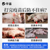华畜免疫抗体 提升疫苗效价 缓解接种应激 双效抗氧化 商品缩略图6