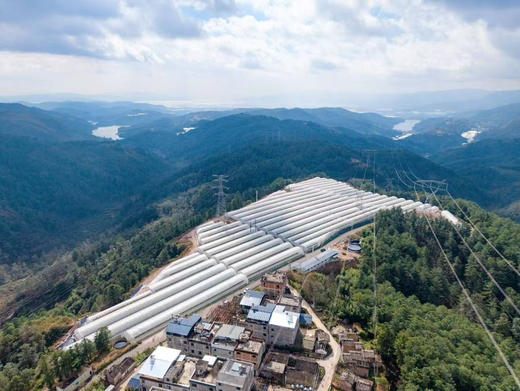 大美云南，风水宝地！仙湖滋养的仙湖恬蓝莓，生长在海拔2150米的【仙湖恬】比雪山恬还高1000米，第一批即将到京 商品图4