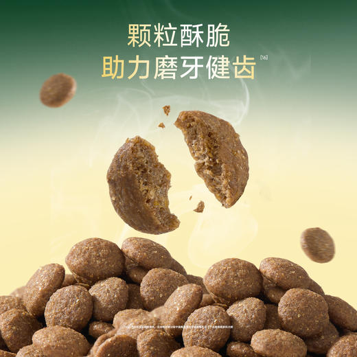 新品【牛肉乳钙犬粮】双钙赋能 助力骨骼强韧 添加益生元双源护肠温和滋养 颗粒酥脆助力磨牙健齿 商品图4