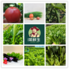 【3.8折优惠】【8种有机蔬菜宅配到家】 商品缩略图0