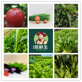 【3.8折优惠】【8种有机蔬菜宅配到家】
