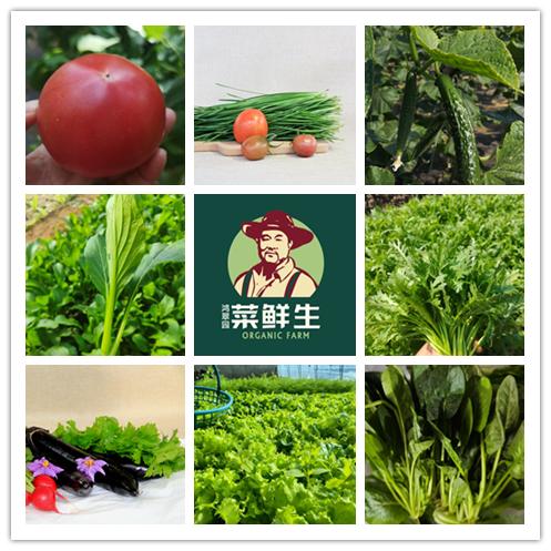 【3.8折优惠】【8种有机蔬菜宅配到家】 商品图0