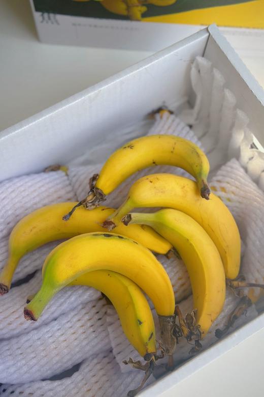 佳丽香蕉  II 3斤装（16-30个） 商品图3